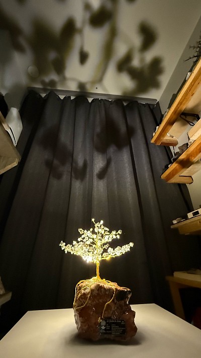 Arbre #66