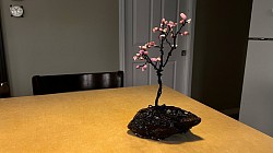 #3 Fil d’acier et pierres d’améthyste. Mon premier arbre avec des pierres semi précieuses.