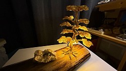 —————————-