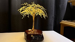 ——————————