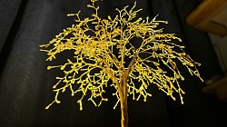 ——————————