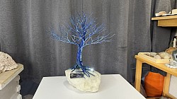 —————————