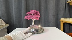 —————————-