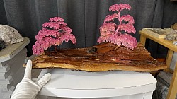 —————————-