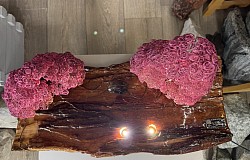 ——————————