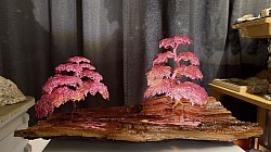 ——————————