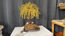 —————————-