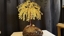 —————————-