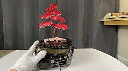 —————————-