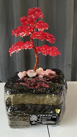 —————————-