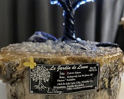 ——————————