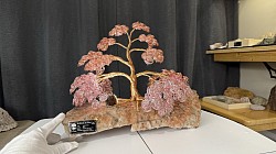 —————————-