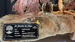 —————————