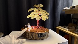 —————————-