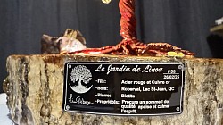 —————————