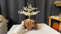 —————————-