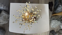 —————————-