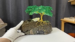 —————————