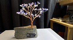 —————————