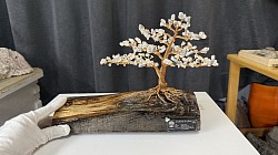 ——————————