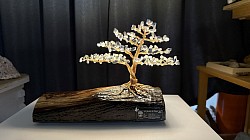 ——————————