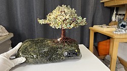 —————————-