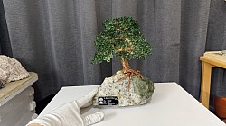 —————————-