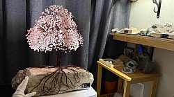 —————————-