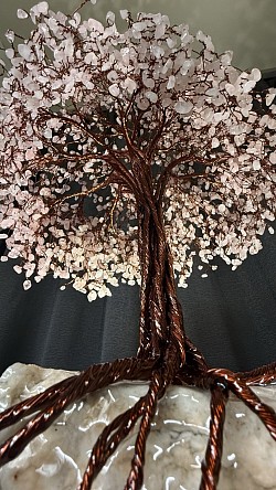 —————————-