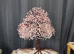 —————————