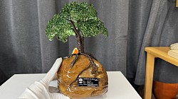 —————————-