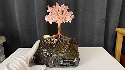 —————————-