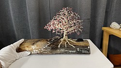 —————————-