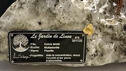 —————————-