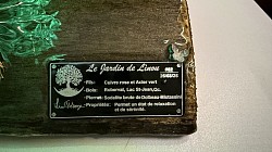 ——————————-