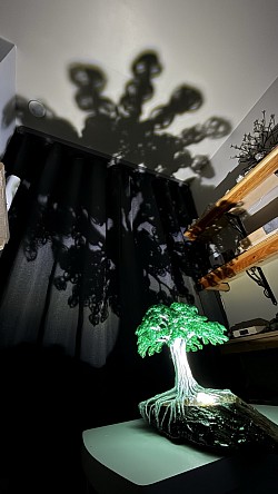 ——————————-