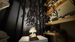 ——————————