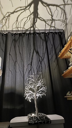 —————————-