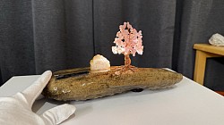 —————————-