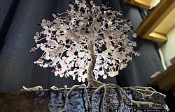 ——————————