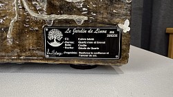 ——————————