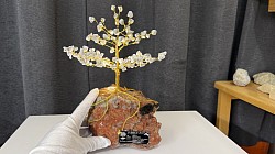 —————————-