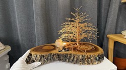 —————————-