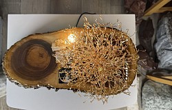 ——————————